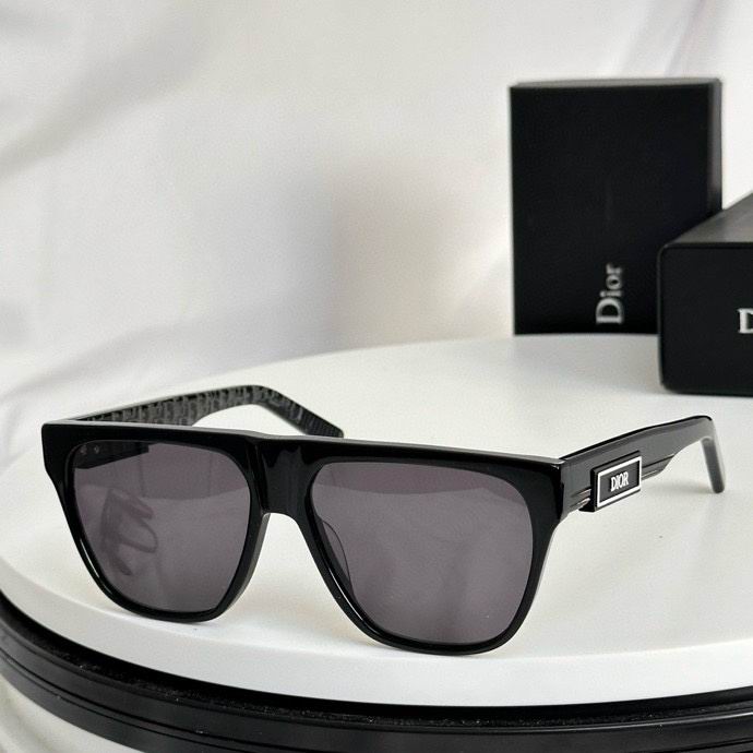 Dior Glasses smr (36)